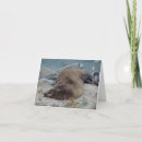 Search for asleep cards Photography
