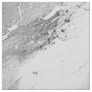 Search for marble fabric Grey