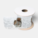 Search for squirrel ribbon Cute