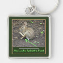 Search for lucky key rings Photography