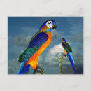 Search for cute cloud postcards Trendy