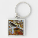 Search for fossil key rings Pattern