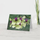 Search for edibility cards Edible flowers
