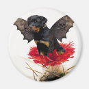 Search for rottweilers magnets Pet