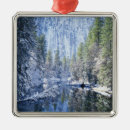 Search for nevada christmas tree decorations River