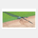 Search for dragonfly wings stickers Green