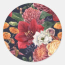 Search for chrysanthemums stickers Botanical