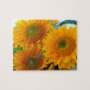 Search for sunflower puzzles Summer