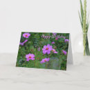 Search for pink flowers birthday cards Garden