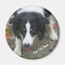 Search for tri magnets Cute