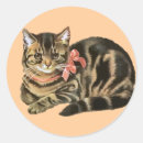 Search for tabby cat kitten stickers Cute