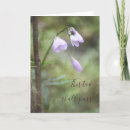 Search for this too shall pass cards Encouragement