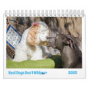 Search for cocker office supplies Poodle