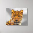 Search for wild cat canvas prints Leopard