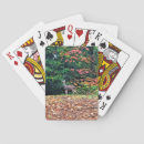 Search for deer playing cards Nature