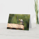 Search for tufted cards Photography