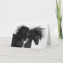 Search for black white photography cards Wildlife