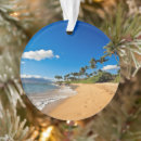 Search for coconut christmas tree decorations Sea