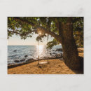 Search for swinging postcards Tree swing