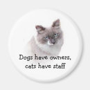 Search for owner magnets Cats