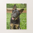 Search for german shepherd puzzles Park