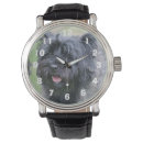Search for brindle accessories Pet