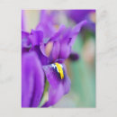 Search for magnetic postcards Yellow