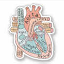 Search for cardiac stickers Cardiologist
