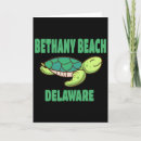 Search for travelling turtle cards Explore together