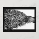 Search for hedge postcards Nature