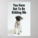 Search for pug picture posters Photography