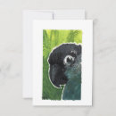 Search for conures cards Parrot