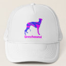 Search for greyhound hats Silhouette
