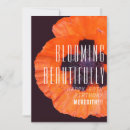 Search for poppy cards Typography