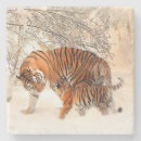 Search for tigers barware Wildlife