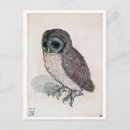 Search for little owl postcards Bird