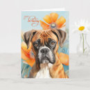 Search for funny boxer dog birthday cards Dogs