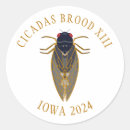 Search for cicada bug stickers Brood xiii