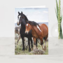 Search for dittos cards Ranch