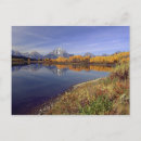 Search for grand teton national park postcards Reflection