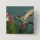 Search for rolf nussbaumer accessories Animal