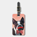 Search for boston terrier accessories Red bowtie