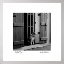 Search for pub photography Pubs