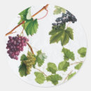 Search for green grapes stickers Vintage