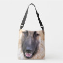 Search for german shepherd accessories Cute dogs