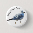 Search for bill accessories Bird