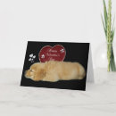 Search for golden retriever valentines day cards Pet