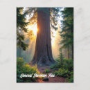 Search for generated postcards Trees