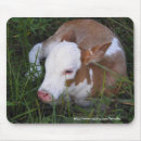 Search for steer mousepads Farm