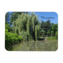 Search for weep magnets Pond